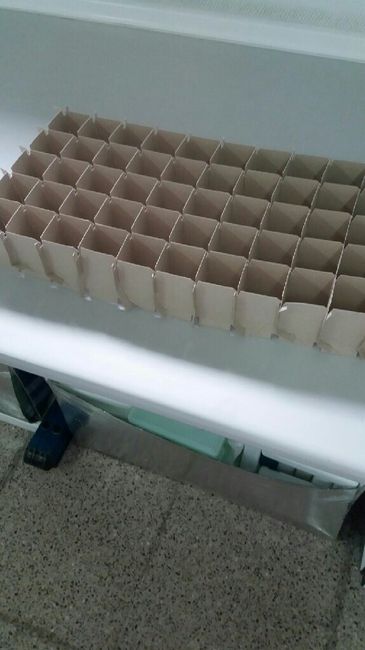 Presentación arroz - 1