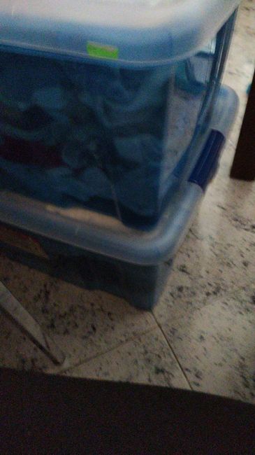 Futuras mamas octubre 2020 - 1