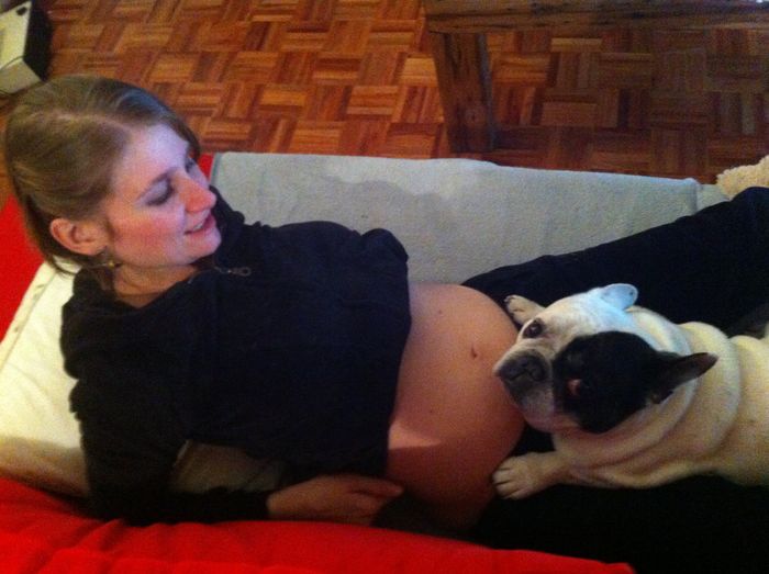 Mi perrillo y mi bebe conociendose