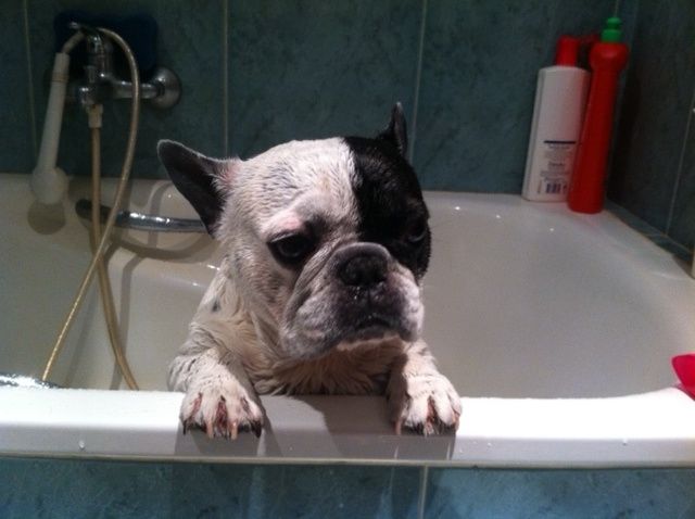 mi Jack!!!