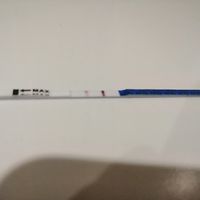 Grupo de apoyo para buscadoras eternas - 1