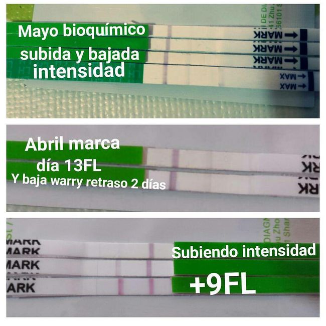 Por que t.o antes del t.e ?? - 1