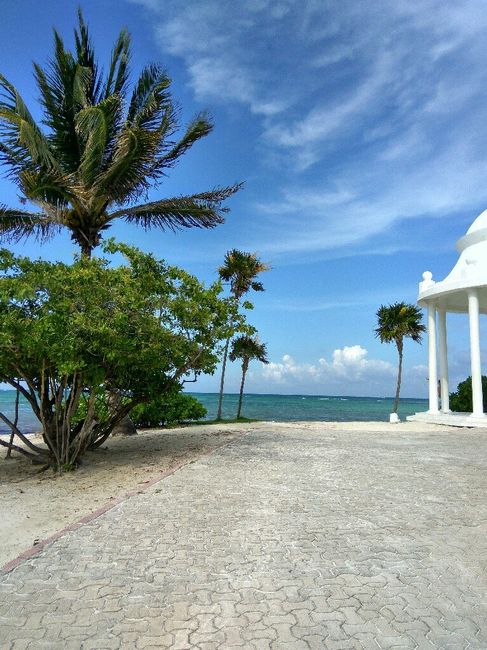 Combinado ny-riviera, hoteles row y grand palladium white sand - 11