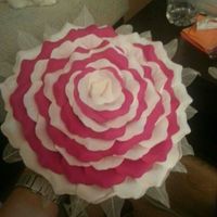 Rosmelia!ayuda! - 1