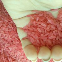 Arroz - 4