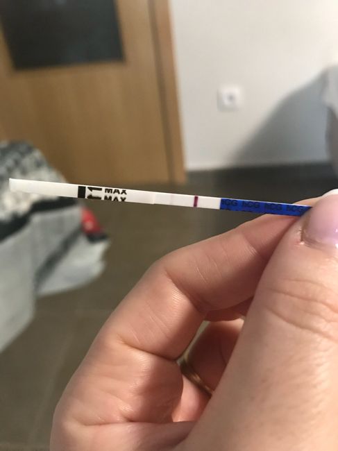 Buscadoras de un primer embarazo y tras muchos intentos no llega - 1