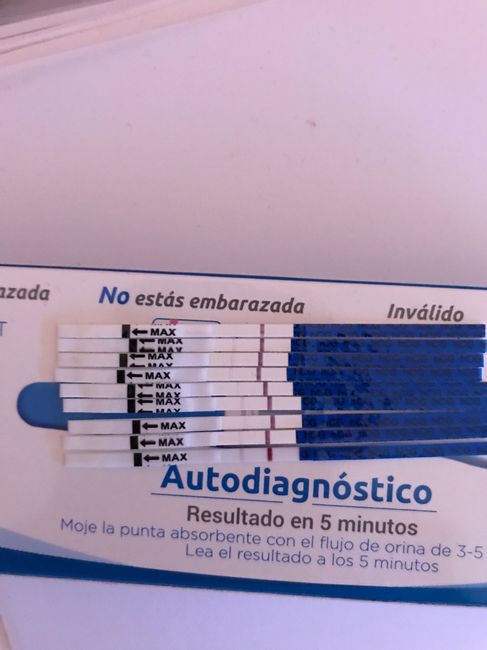 Buscadoras de un primer embarazo y tras muchos intentos no llega - 1