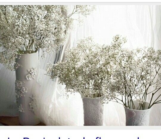 Floristerias - 1