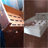 Cajas de fruta  pintadas - 1