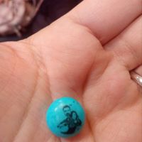 Chocos cortesía de mi amiga Eliana