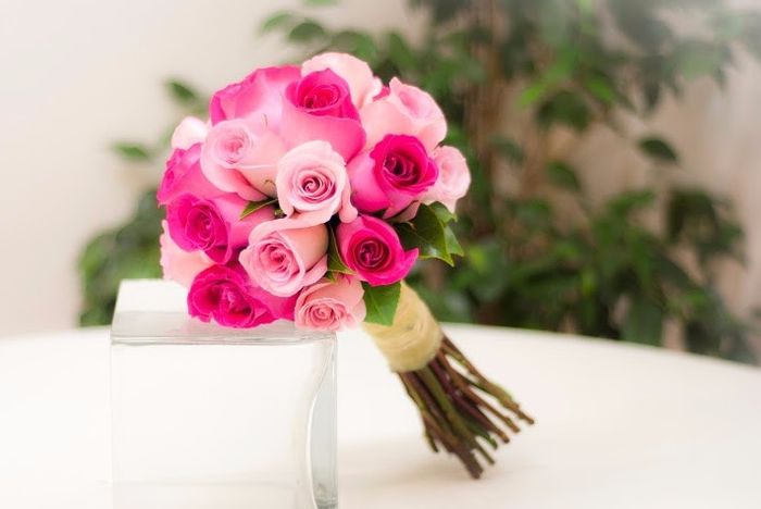 rosas