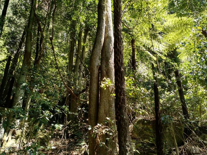 Consejos sobre Australia y Nueva Zelanda 2