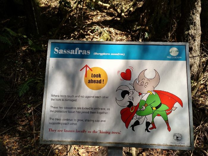 Consejos sobre Australia y Nueva Zelanda 3