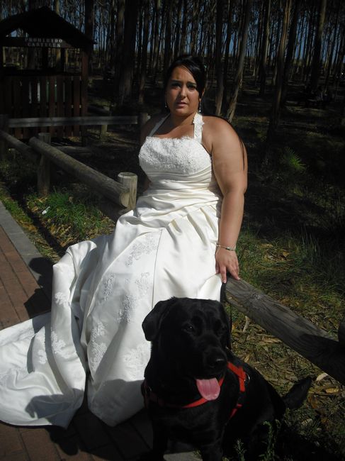 mi perro arco y yo