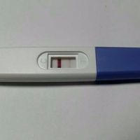 Test embarazo