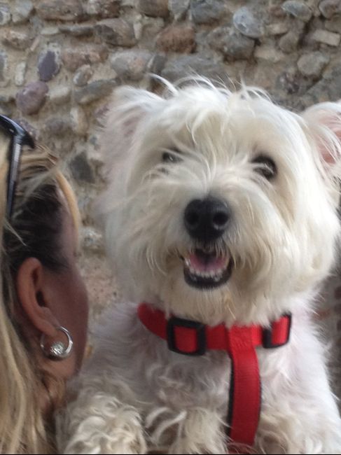 LOLA.,