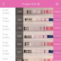 Proceso tratamiento fiv - 1