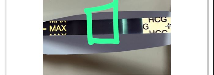 Buscadoras Enero 2023 1