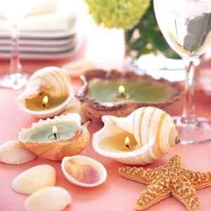 Velas conchas