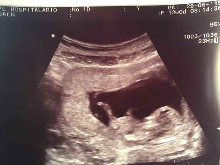 Mamis enero 2016 - 1