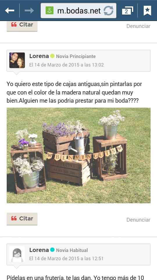 Que os parecen?? - 3