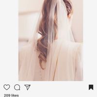 Velo para coleta - 3