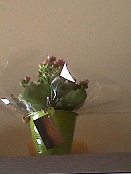 Detalles boda