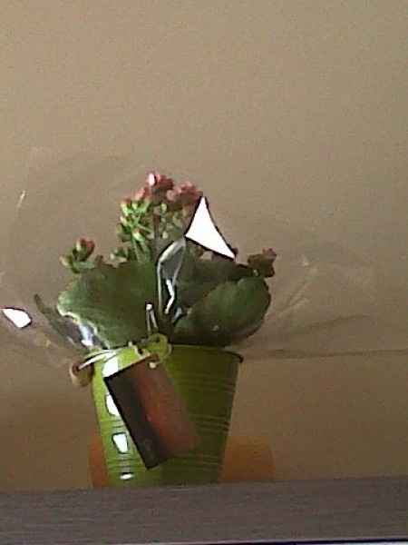 Detalles boda