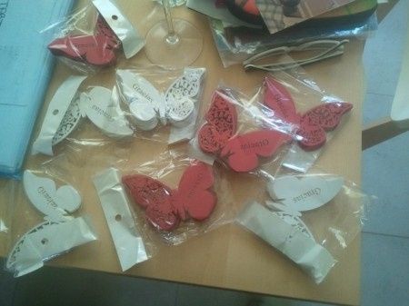 Mis mariposas 