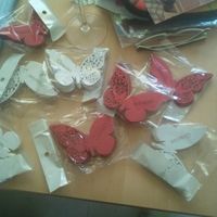 Mis mariposas 