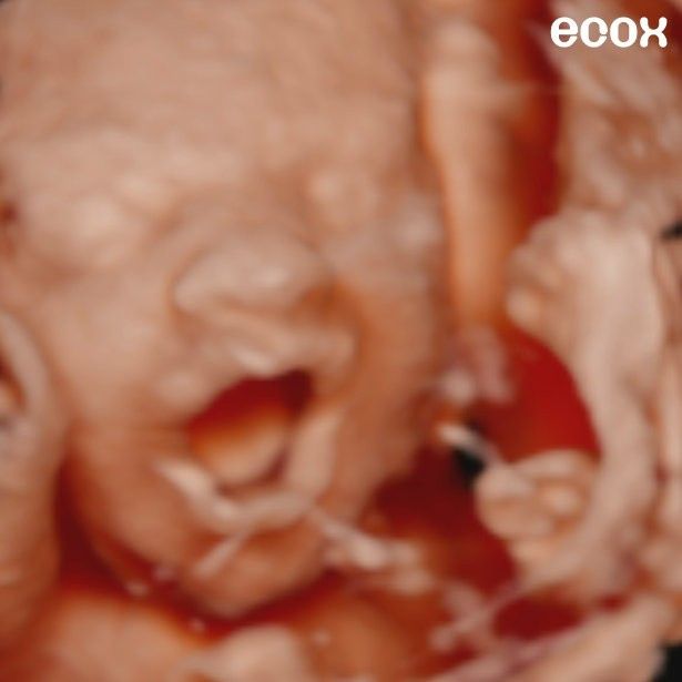 Mamas Febrero 2020 - 1