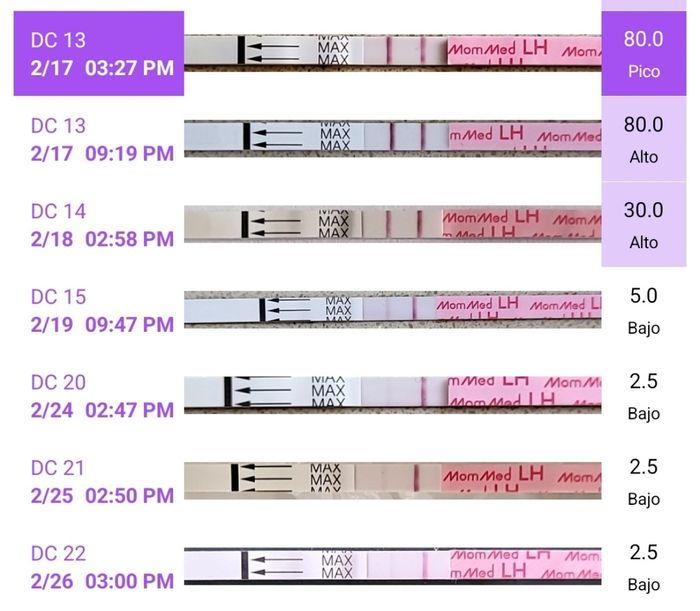 Buscadoras febrero 👑🥐👑🥐👑🥐 2