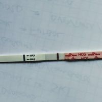 Inseminación artificial ¿cómo os fué? - 1