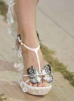 zapato 9