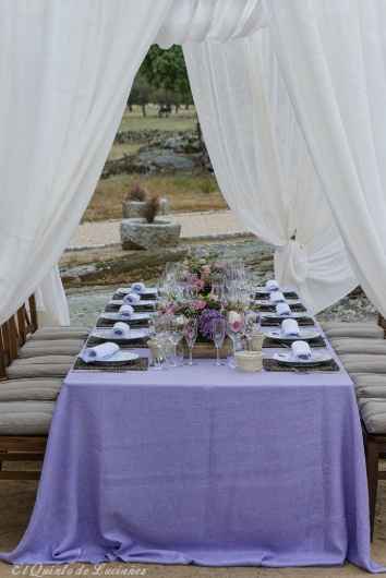 Lavanda