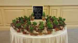 Plantas 1