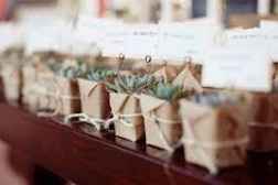 Plantas 9