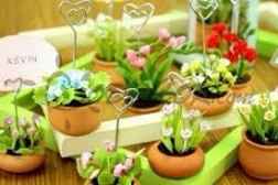 Plantas 11