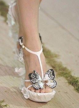 zapato 9
