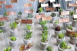 Plantas 7