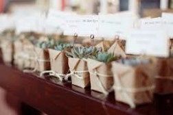 Plantas 9