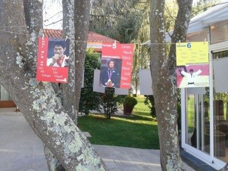 meseros arboles