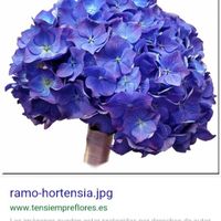 Ramo de novia azul - 1