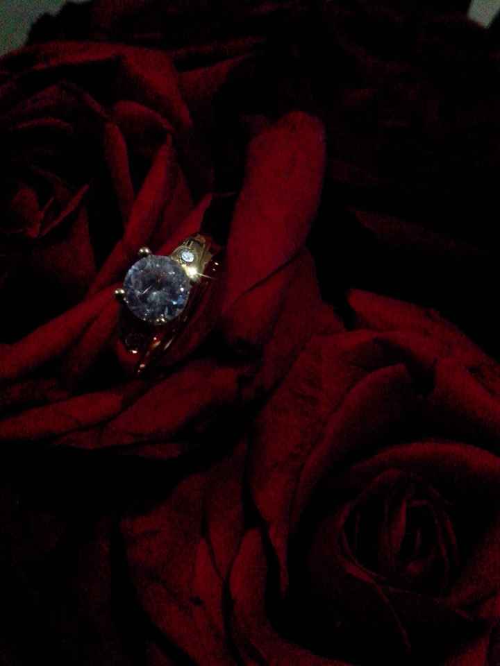 Nuestros anillos de compromiso... - 1