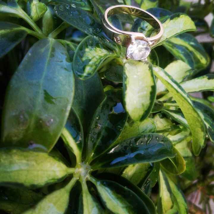 Anillo de compromiso - 1
