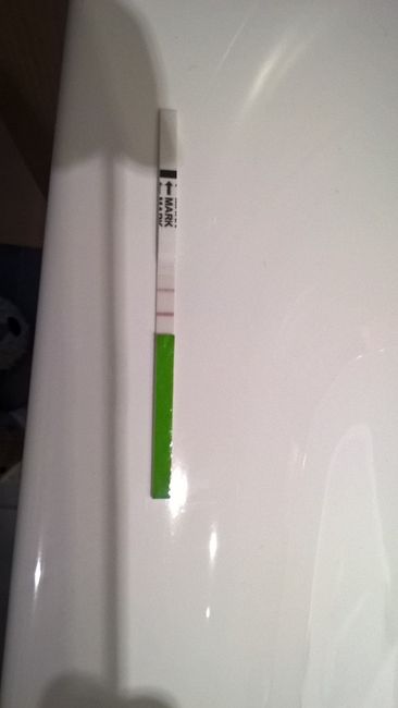 test ovulacion