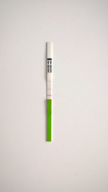 test ovulacion