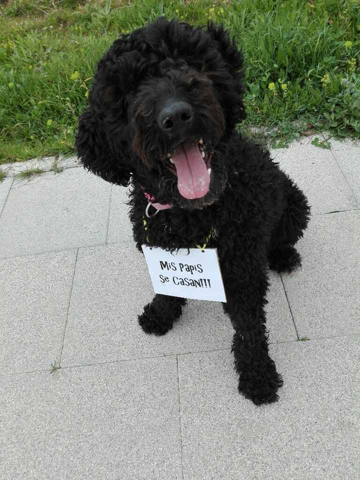 Invitaciones con foto + perro - 1