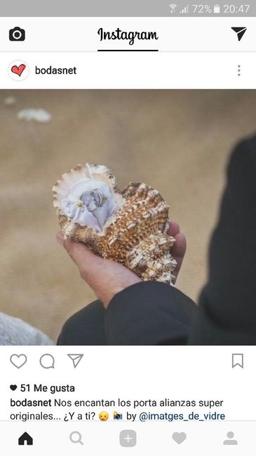 Conchas para portar anillos el dia b - 1