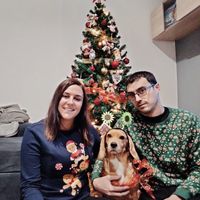 ¿Soléis decorar vuestra casa con adornos navideños? - 1